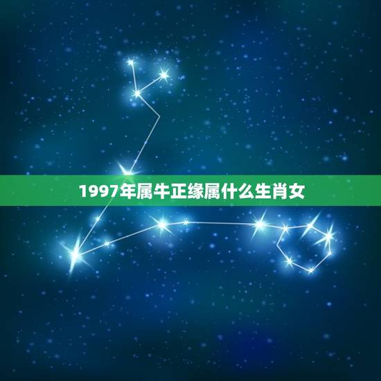 1997年属牛正缘属什么生肖女(介绍命运与性格特点)