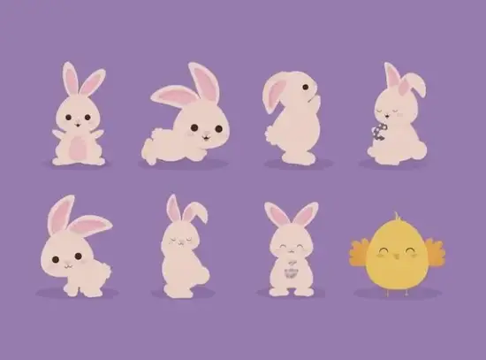 生肖兔健康饮食