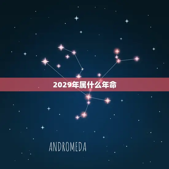2029年属什么年命