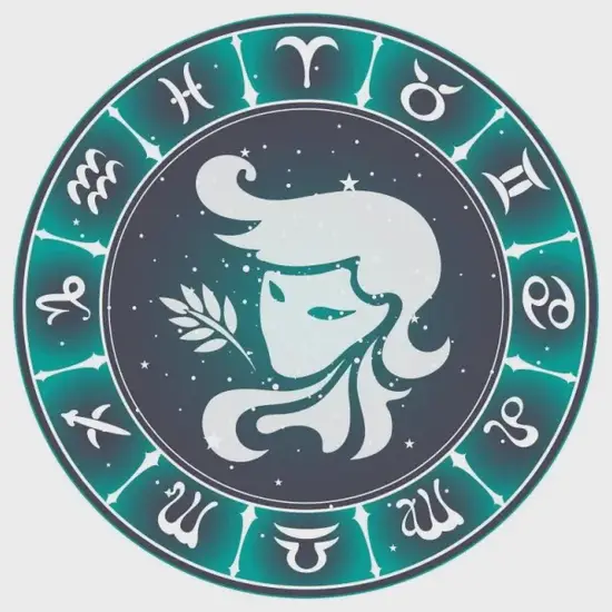 处女座年度运程