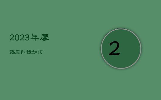 2023年摩羯座财运如何