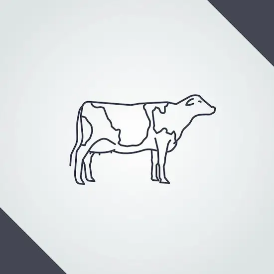 90后属牛的今年几岁(探寻牛年生肖的年龄之谜)