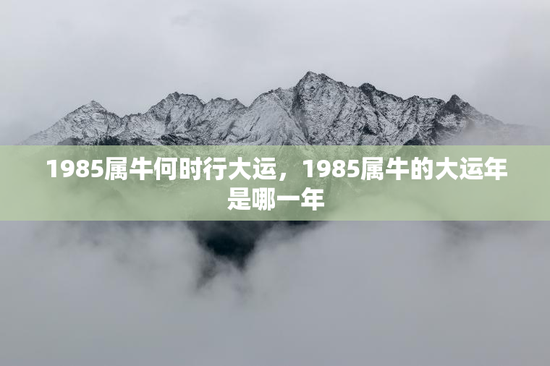 1985属牛何时行大运,1985属牛的大运年是哪一年 1985属牛何时行大运,1985属牛的大运年是哪一年