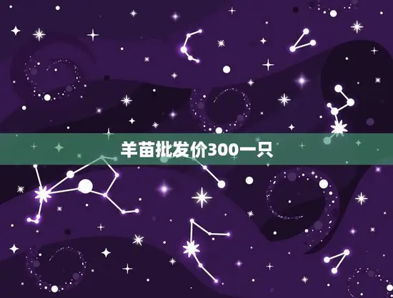 羊苗批发价300一只 羊苗批发价300一只