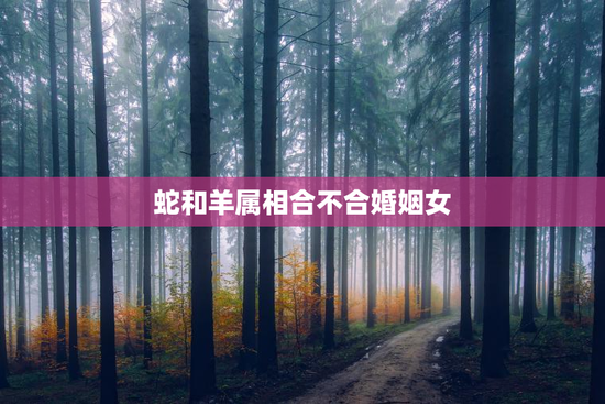蛇和羊属相合不合婚姻女,蛇和羊属相合不合婚姻女人 蛇和羊属相合不合婚姻女,蛇和羊属相合不合婚姻女人