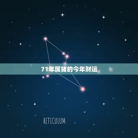 71年属猪的今年财运 71年属猪的今年财运