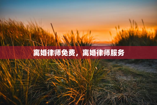 离婚律师免费,离婚律师服务 离婚律师免费,离婚律师服务