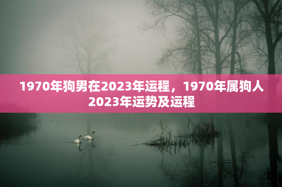 1970年狗男在2023年运程，1970年属狗人2023年运势及运程