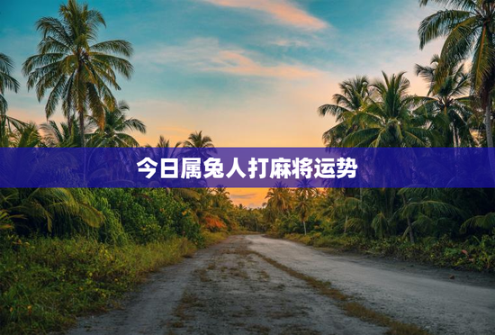 今日属兔人打麻将运势