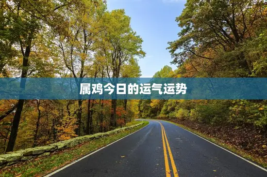 属鸡今日的运气运势