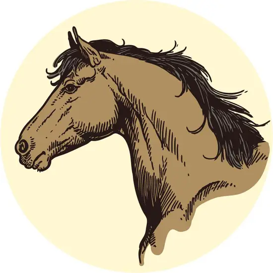 1966年属马最佳楼层(如何选择最适合的居住楼层)