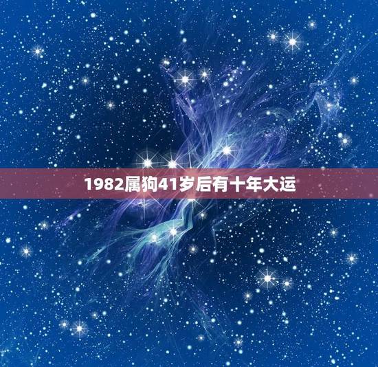 1982属狗41岁后有十年大运（命理学角度解读）