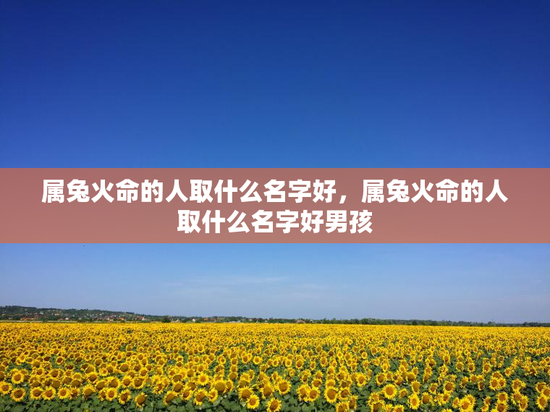 属兔火命的人取什么名字好,属兔火命的人取什么名字好男孩 属兔火命的人取什么名字好,属兔火命的人取什么名字好男孩