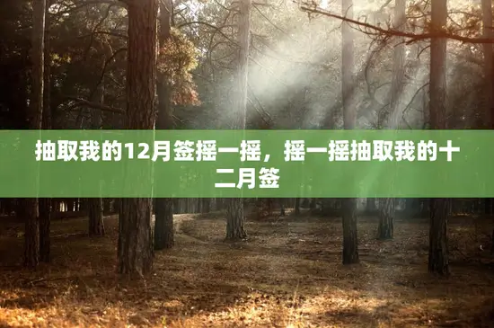 抽取我的12月签摇一摇,摇一摇抽取我的十二月签 抽取我的12月签摇一摇,摇一摇抽取我的十二月签
