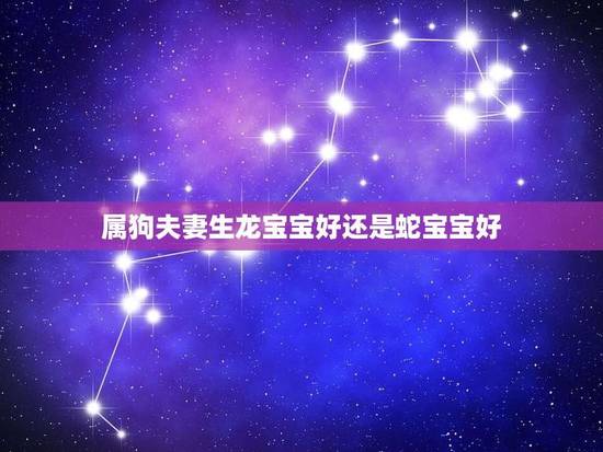属狗夫妻生龙宝宝好还是蛇宝宝好(如何选择宝宝) 属狗夫妻生龙宝宝好还是蛇宝宝好(如何选择宝宝)