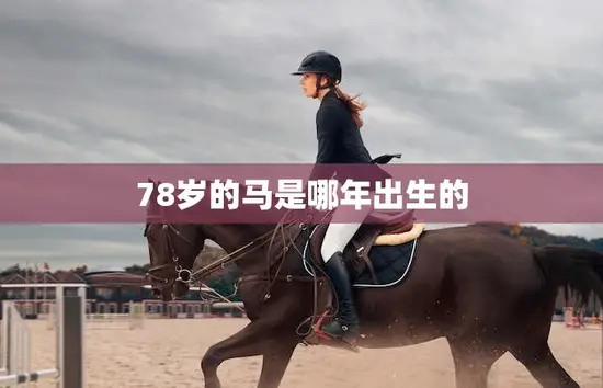 78岁的马是哪年出生的(揭秘马匹年龄计算的秘密)