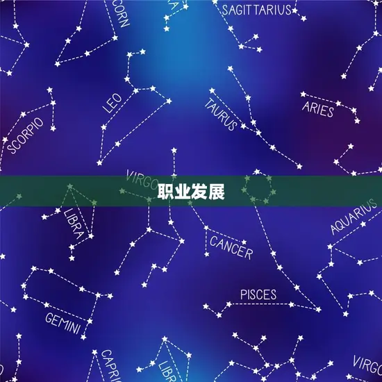 职业发展 职业发展