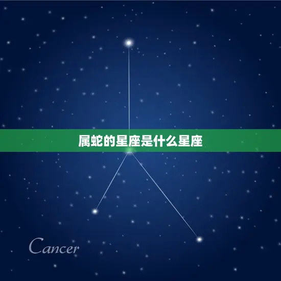 属蛇的星座是什么星座