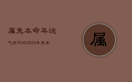 属兔本命年运气好不好，2023年兔本命年的大忌