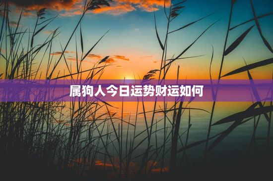 属狗人今日运势财运如何 属狗人今日运势财运如何