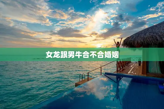 女龙跟男牛合不合婚姻，女龙和男牛合不合