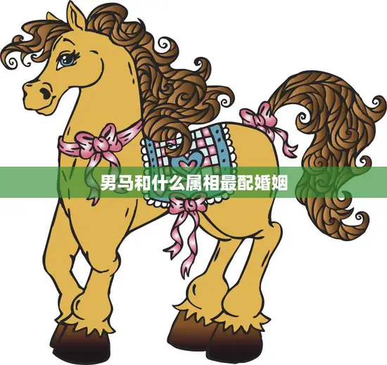 男马和什么属相最配婚姻(完美的星座组合)