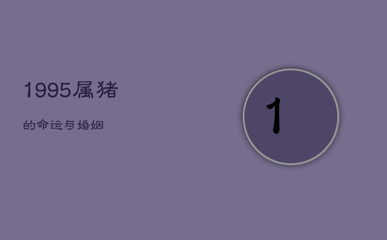 1995属猪的命运与婚姻