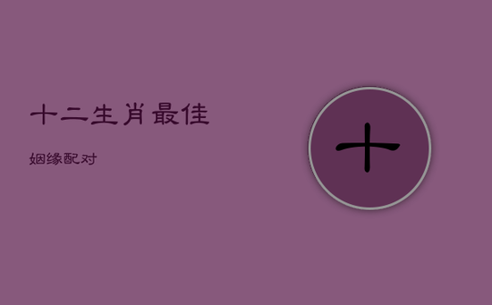 十二生肖最佳姻缘配对