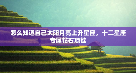 怎么知道自己太阳月亮上升星座，十二星座专属钻石项链
