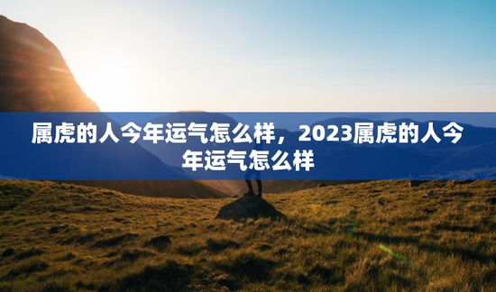 属虎的人今年运气怎么样，2023属虎的人今年运气怎么样