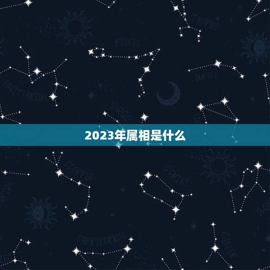 2023年属相是什么