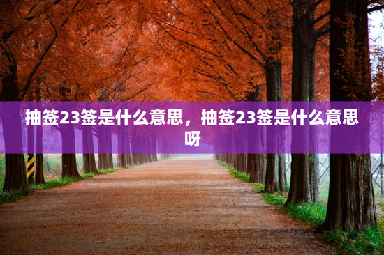 抽签23签是什么意思，抽签23签是什么意思呀