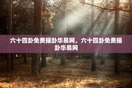 六十四卦免费摇卦华易网，六十四卦免费摇卦华易网