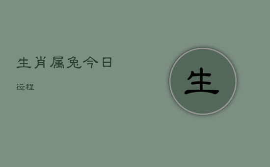 生肖属兔今日运程