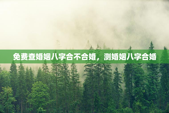 免费查婚姻八字合不合婚，测婚姻八字合婚