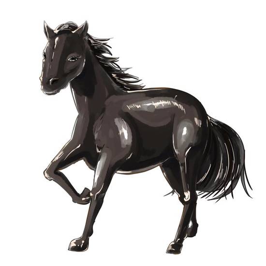 19岁属马的今年怎么样(2023年运势大揭秘)