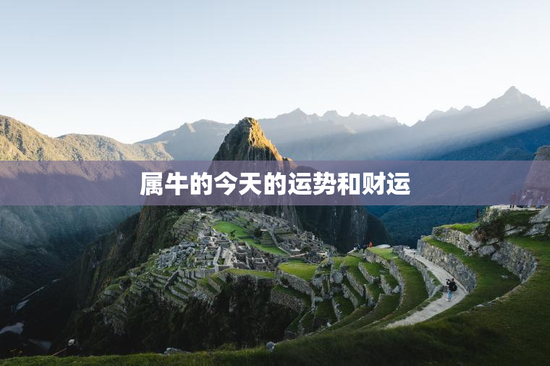 属牛的今天的运势和财运
