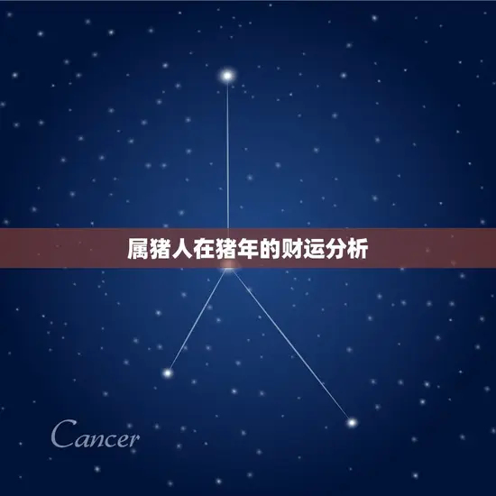 属猪人在猪年的财运分析 属猪人在猪年的财运分析