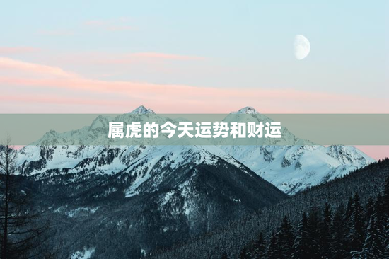 属虎的今天运势和财运