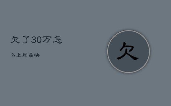 欠了30万怎么上岸最快