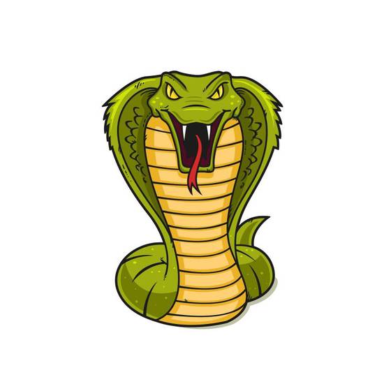 生肖蛇女的婚配什么最佳(如何选择最适合的伴侣)