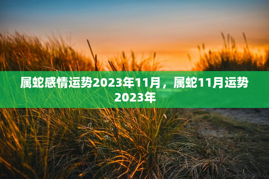 属蛇感情运势2023年11月,属蛇11月运势2023年 属蛇感情运势2023年11月,属蛇11月运势2023年