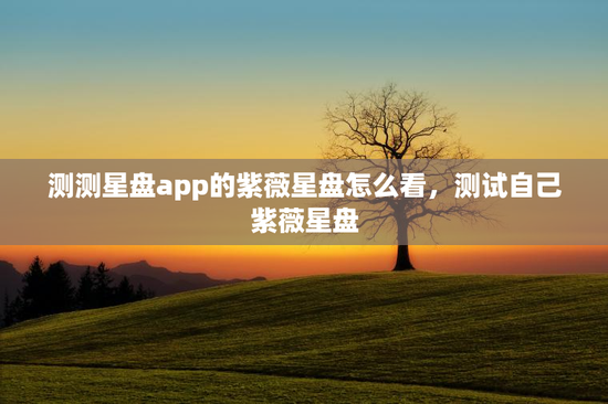 测测星盘app的紫薇星盘怎么看，测试自己紫薇星盘