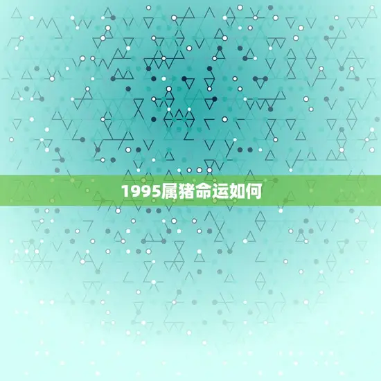 1995属猪命运如何