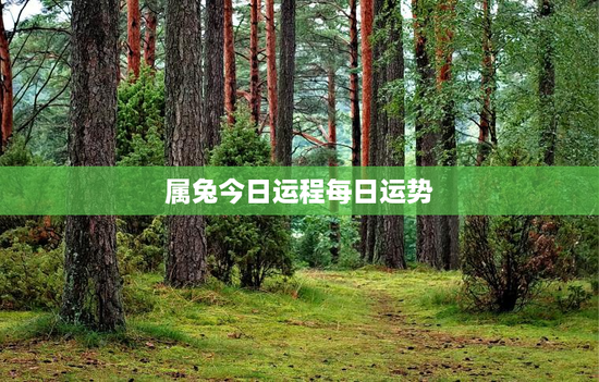 属兔今日运程每日运势