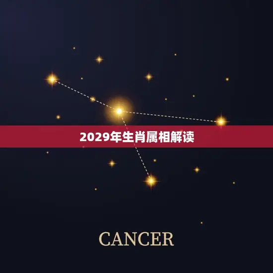 2029年生肖属相解读