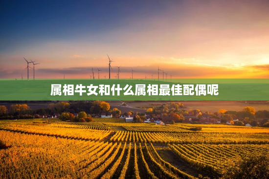 属相牛女和什么属相最佳配偶呢，属相牛女和什么配对