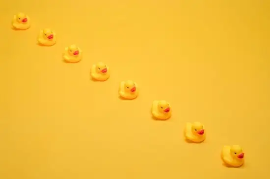 属鸡的应该是哪年出生的(如何确定你的生肖)