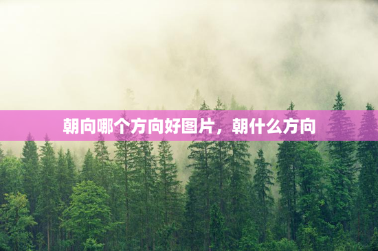 朝向哪个方向好图片,朝什么方向 朝向哪个方向好图片,朝什么方向