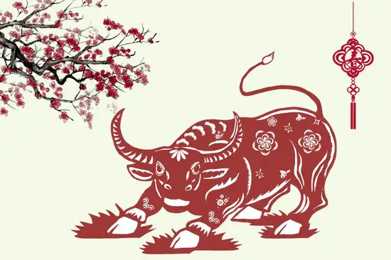 养10头牛一年利润多少(揭秘养牛真的能赚钱吗)